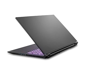 【882】CLEVO NOTEBOOK COMPUTER XP office Amazon.com: Clevo PC70DF1 Gaming & Business Laptop (Intel i7